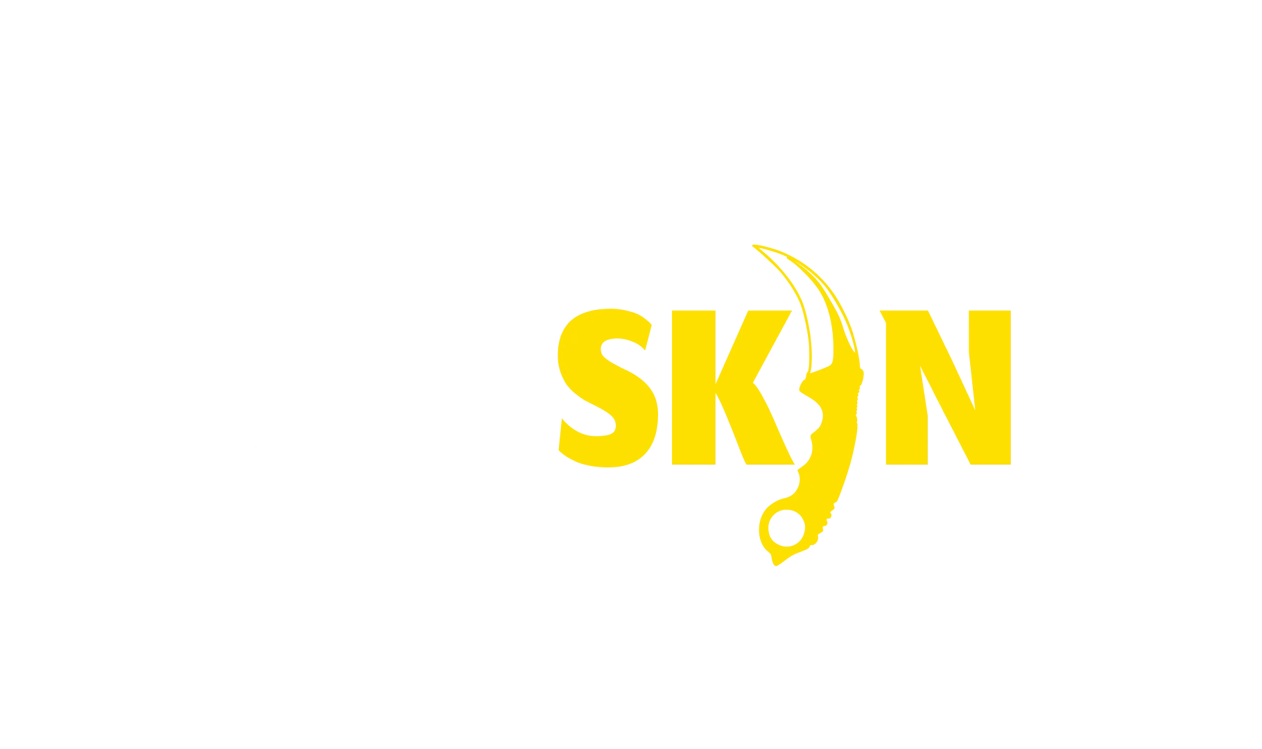 csgo skin